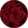 Rose rosse