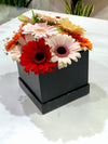 Flowerbox con mini gerbere