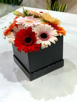Flowerbox con gerbere
