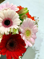 Flowerbox con mini gerbere