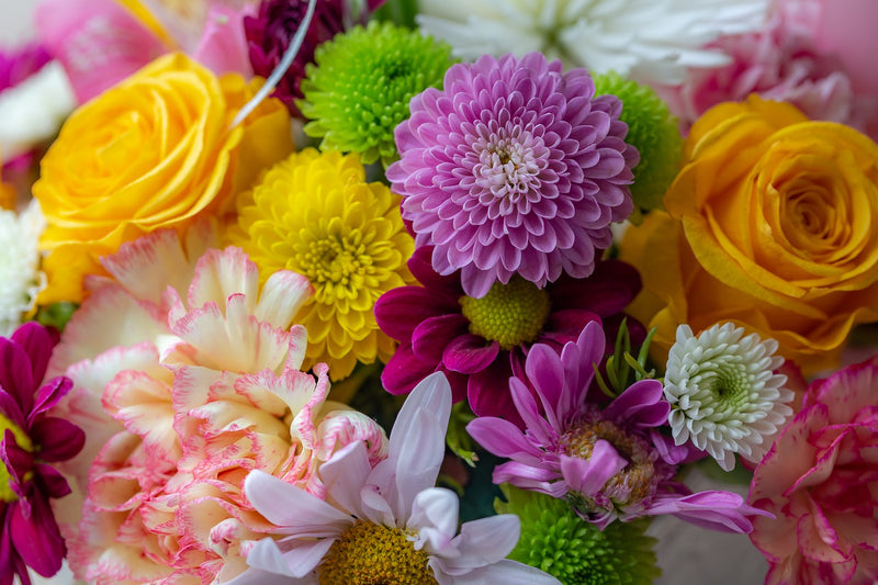 Flower box di fiori misti di stagione