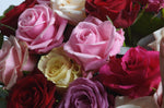 Flower box con rose extra miste