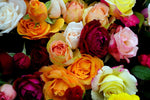 Bouquet con rose a sorpresa